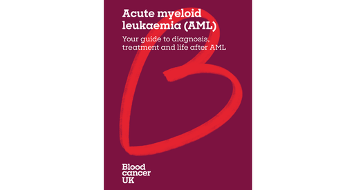 Image of the front cover of the AML booklet. The title on the cover is Acute myeloid leukaemia (AML): Your guide to diagnosis, treatment and life after AML.